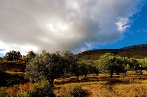 The road through the Muzina Pass is also ideal for laid-back drivers and cyclers.