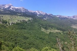 Tomorri Mountain National Park centers around the Tomorri mountain in south central Albania.